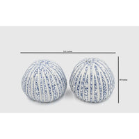 Porcelain Salt & Pepper Shakers