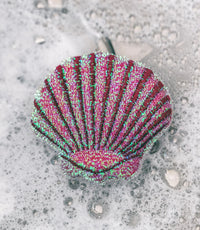 Seashell Scrubbing Sponges Or Buoy Bottle Brush