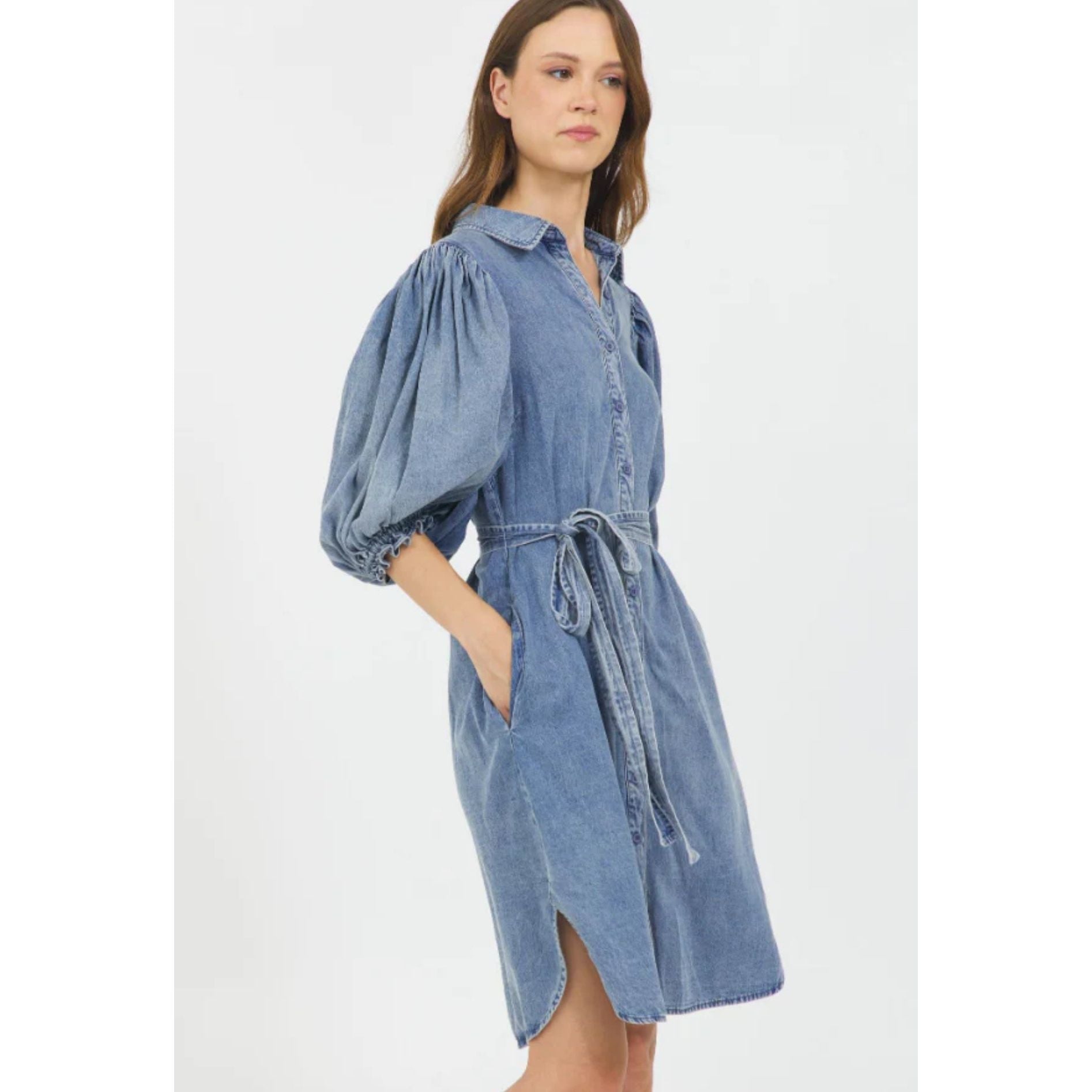 STELLAH DENIM PUFF SLEEVE BUTTON DOWN SHIRT DRESS