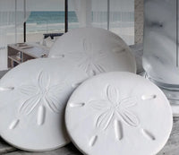 Made in USA. Absorbent coasters. 
White sand dollar 
Made from absorbent clay