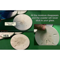 Absorbent Coasters