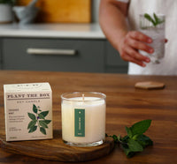 Crushed Mint Plant The Box Candle