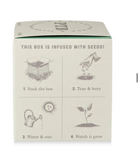 Crushed Mint Plant The Box Candle