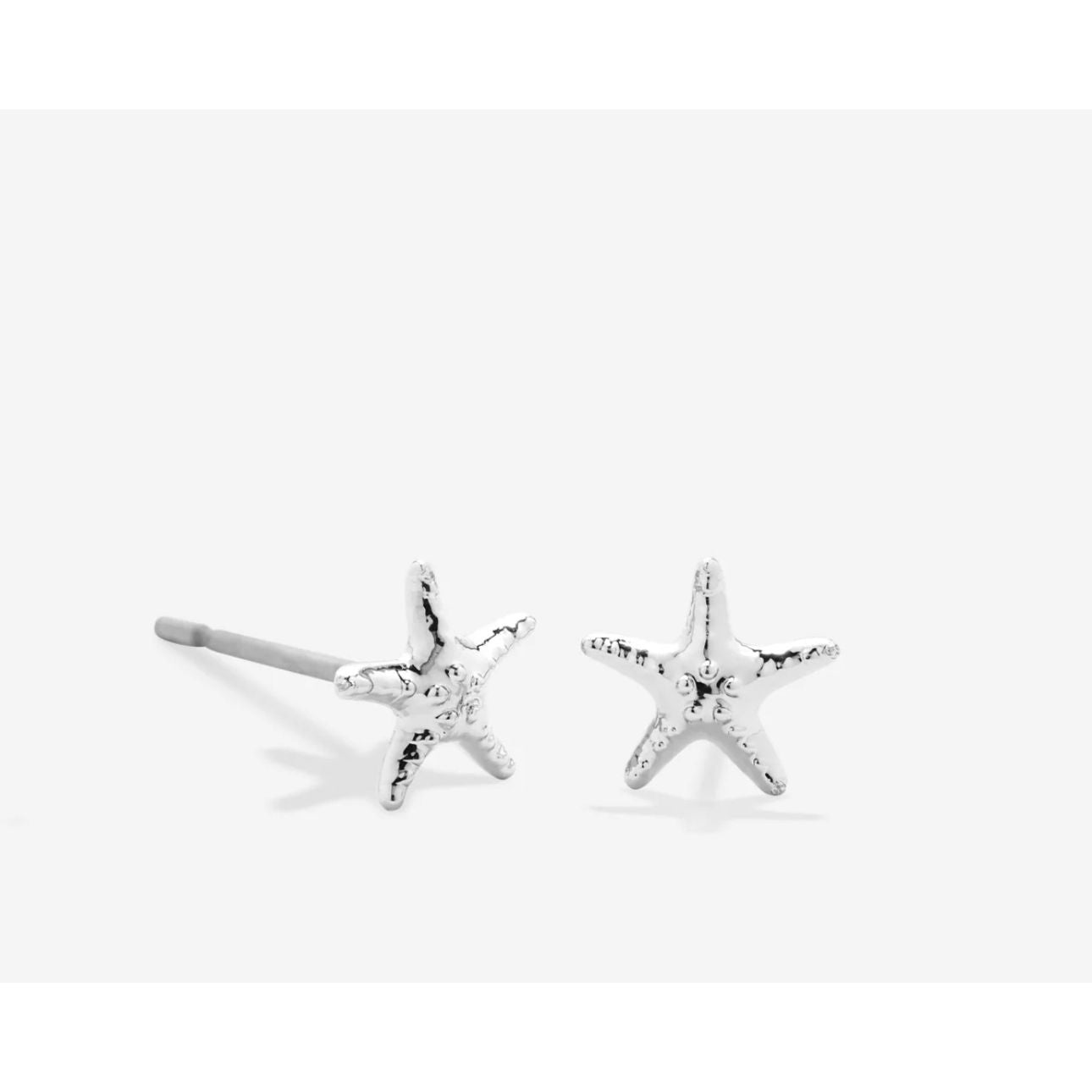 Renew Starfish Earrings or Necklace