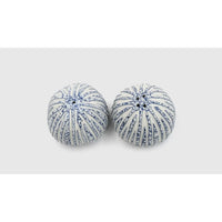 Porcelain Salt & Pepper Shakers