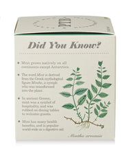 Crushed Mint Plant The Box Candle