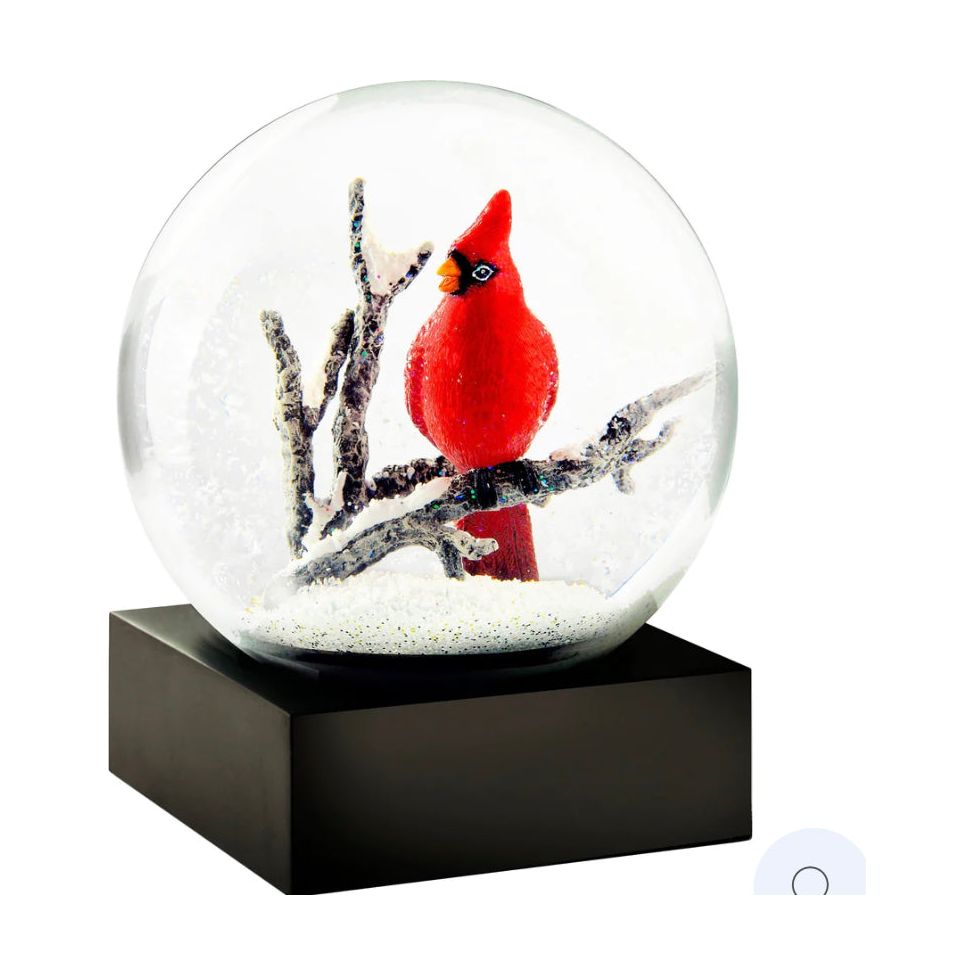 Snow Globe