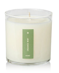 Crushed Mint Plant The Box Candle
