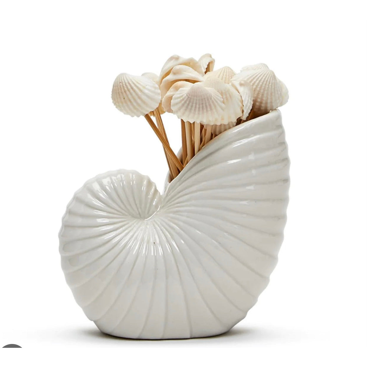 Shell Toothpick Holder