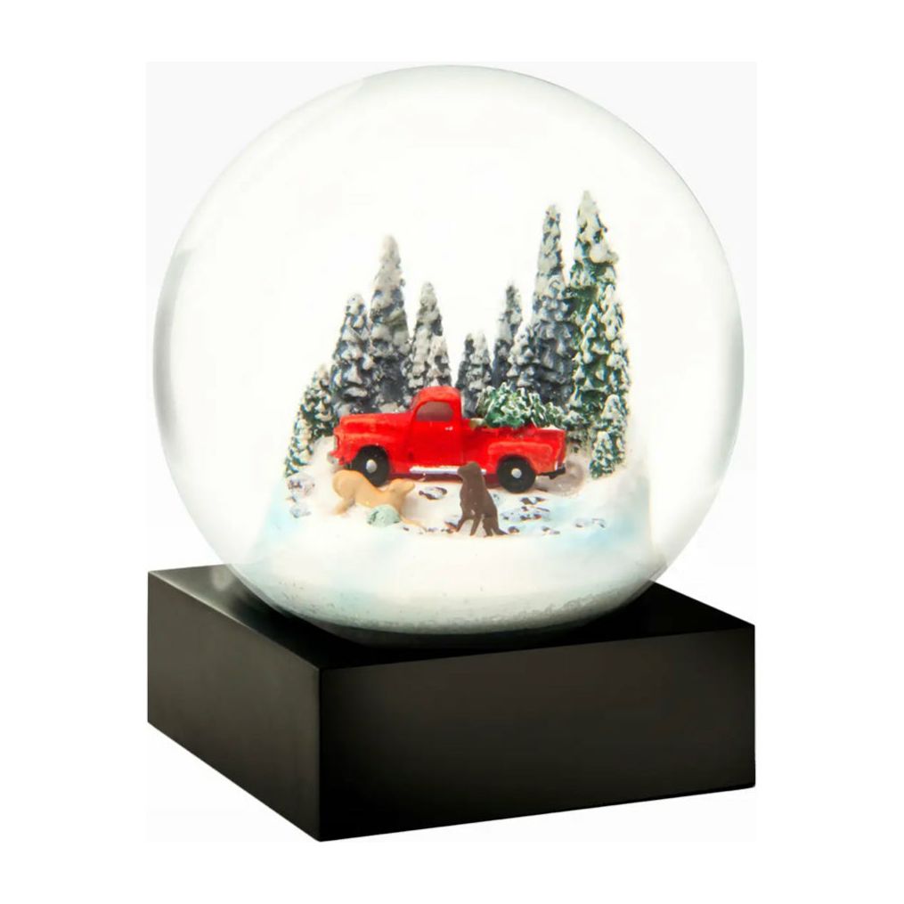 Snow Globe