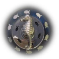 Kitchen Sink Strainer