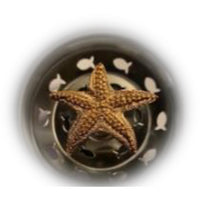 Kitchen Sink Strainer