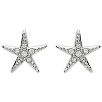 Starfish Pendant or Earrings