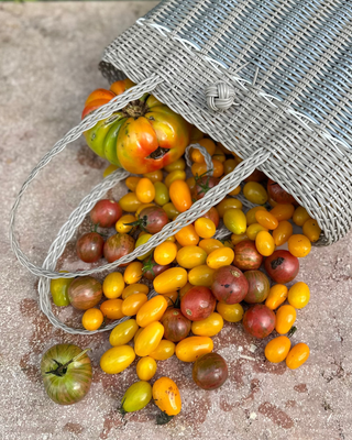 Guadalupe XS Hand-Woven Tote Bag | Putty & Silver Edition