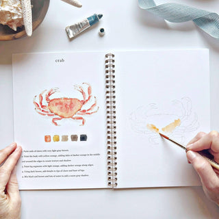 Seaside Watercolor Workbook by Emily Lex | Beginner Coastal Painting Kit with Paints