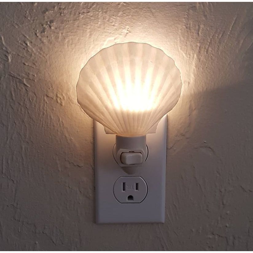 Real Scallop Shell Nightlight