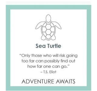Lola Sea Turtle