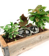 Showing the water stones in a planter 