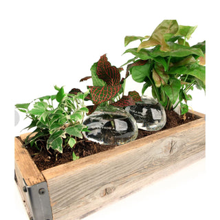 Showing the water stones in a planter 