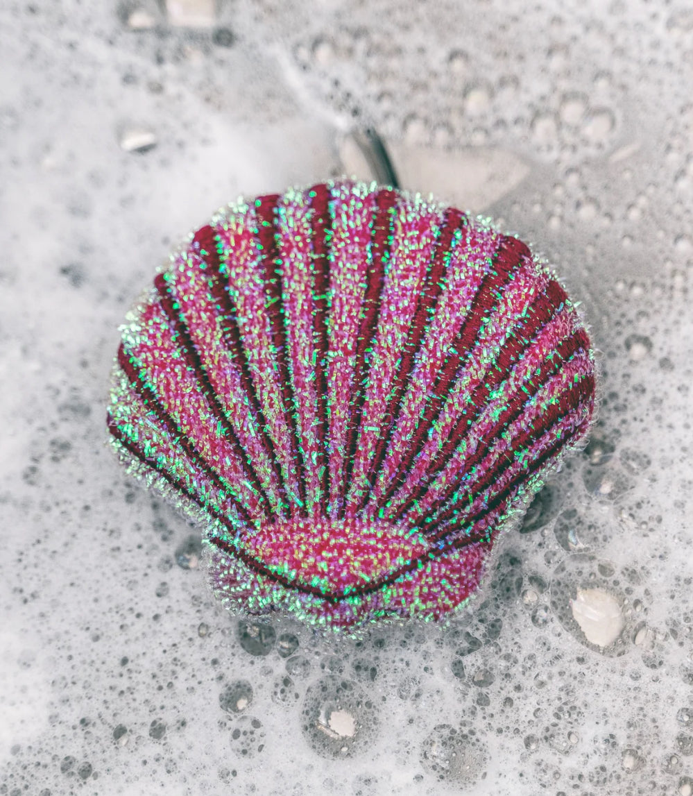 Seashell Scrubbing Sponges Or Buoy Bottle Brush