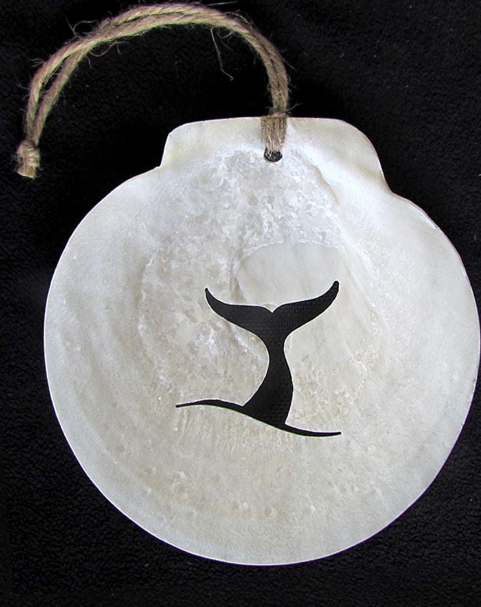 Local Scallop Shell Ornament