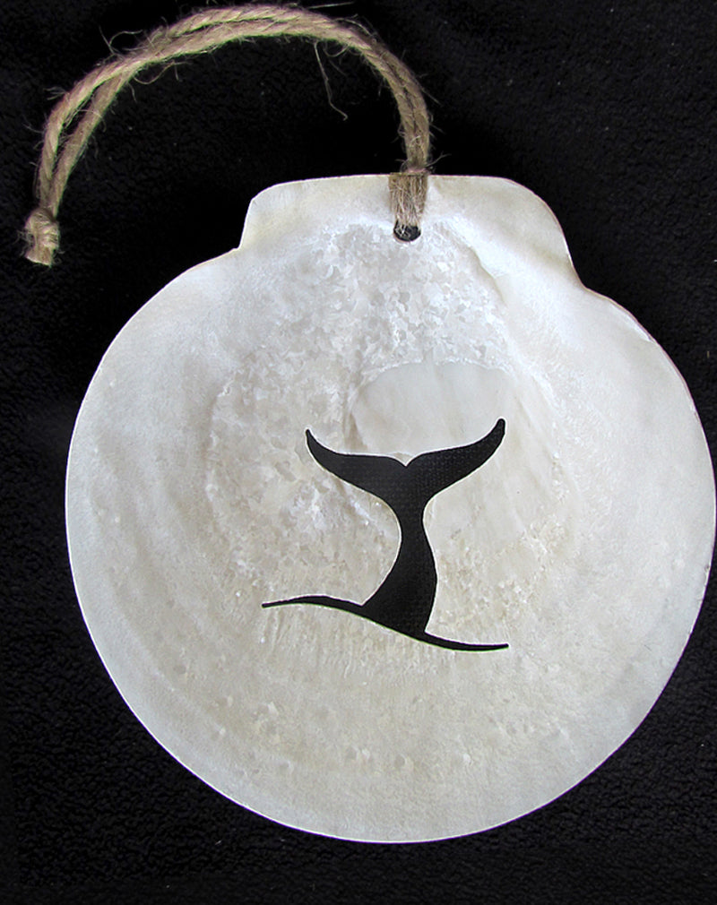 Local Scallop Shell Ornament