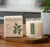 Crushed Mint Plant The Box Candle