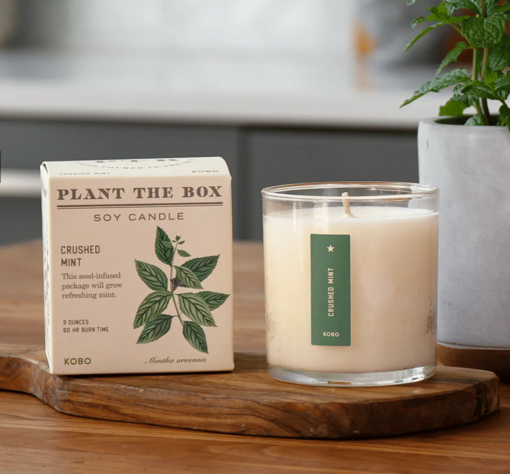 Crushed Mint Plant The Box Candle