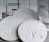 Made in USA. Absorbent coasters. 
White sand dollar 
Made from absorbent clay 
