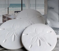 Made in USA. Absorbent coasters. 
White sand dollar 
Made from absorbent clay 