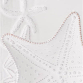 Starfish Chip and Dip