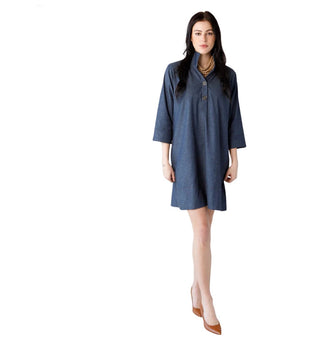 Arden High Collar Stretch Denim Mod Dress