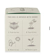 Crushed Mint Plant The Box Candle