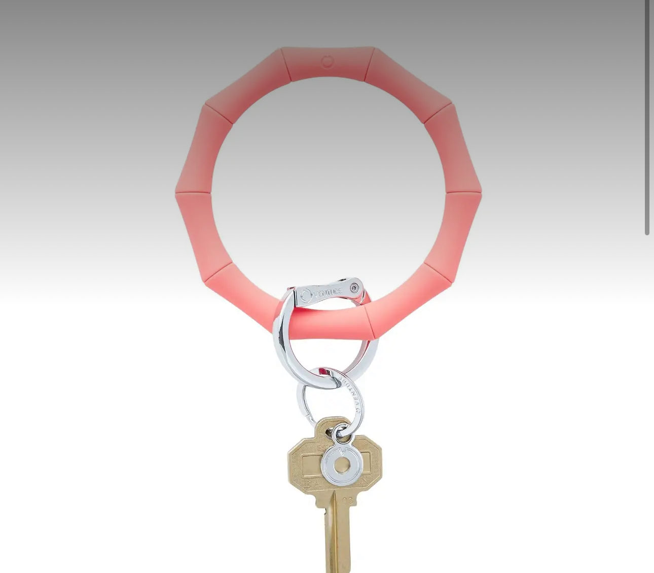 OVenture Key Rings