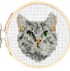 Tabby cat kit 