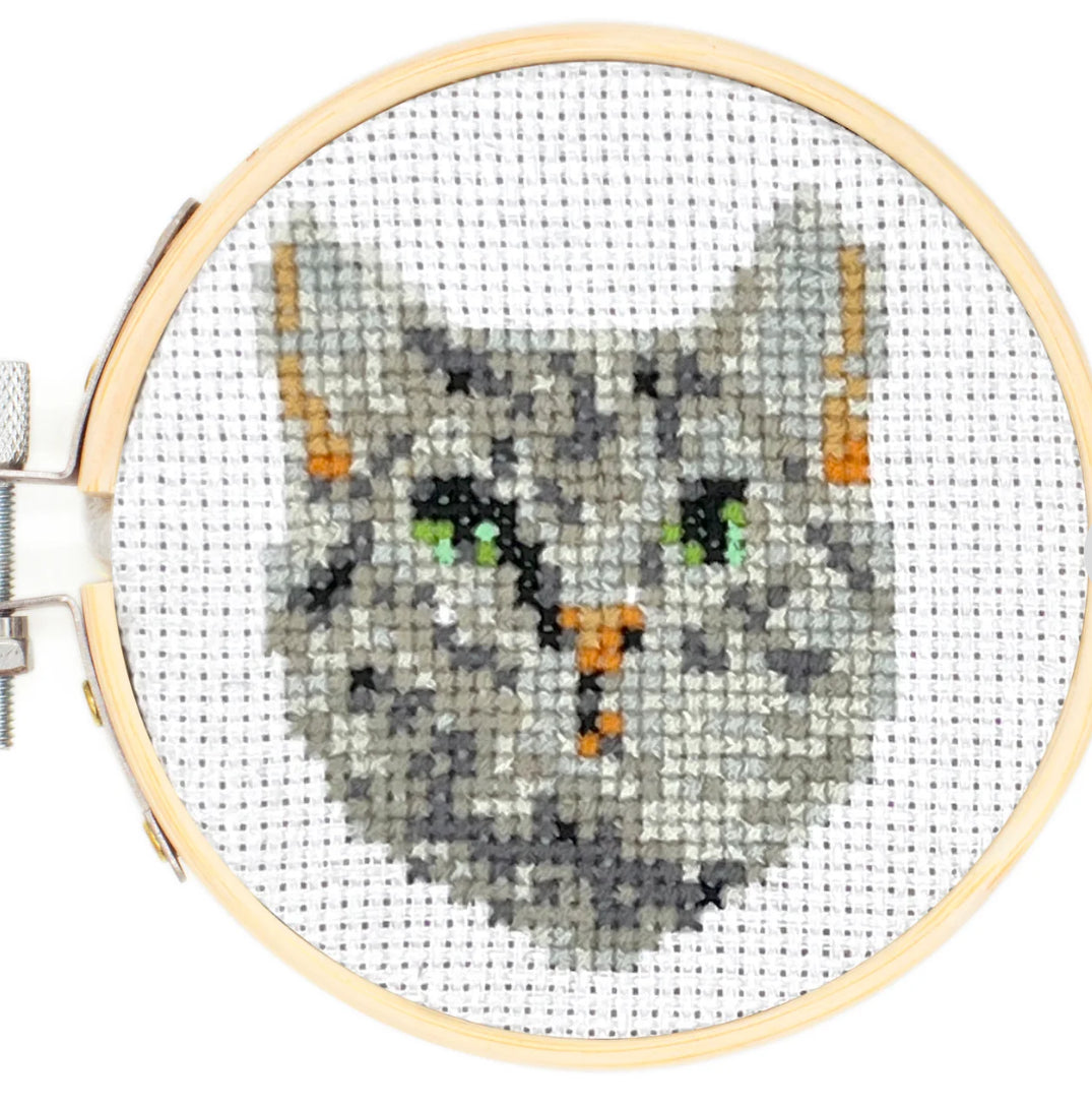 Tabby cat kit 