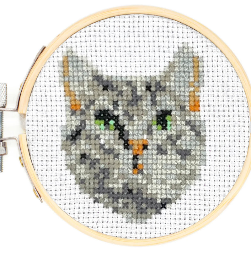 Tabby cat kit 