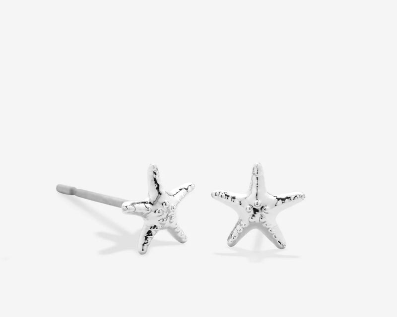 Renew Starfish Earrings or Necklace