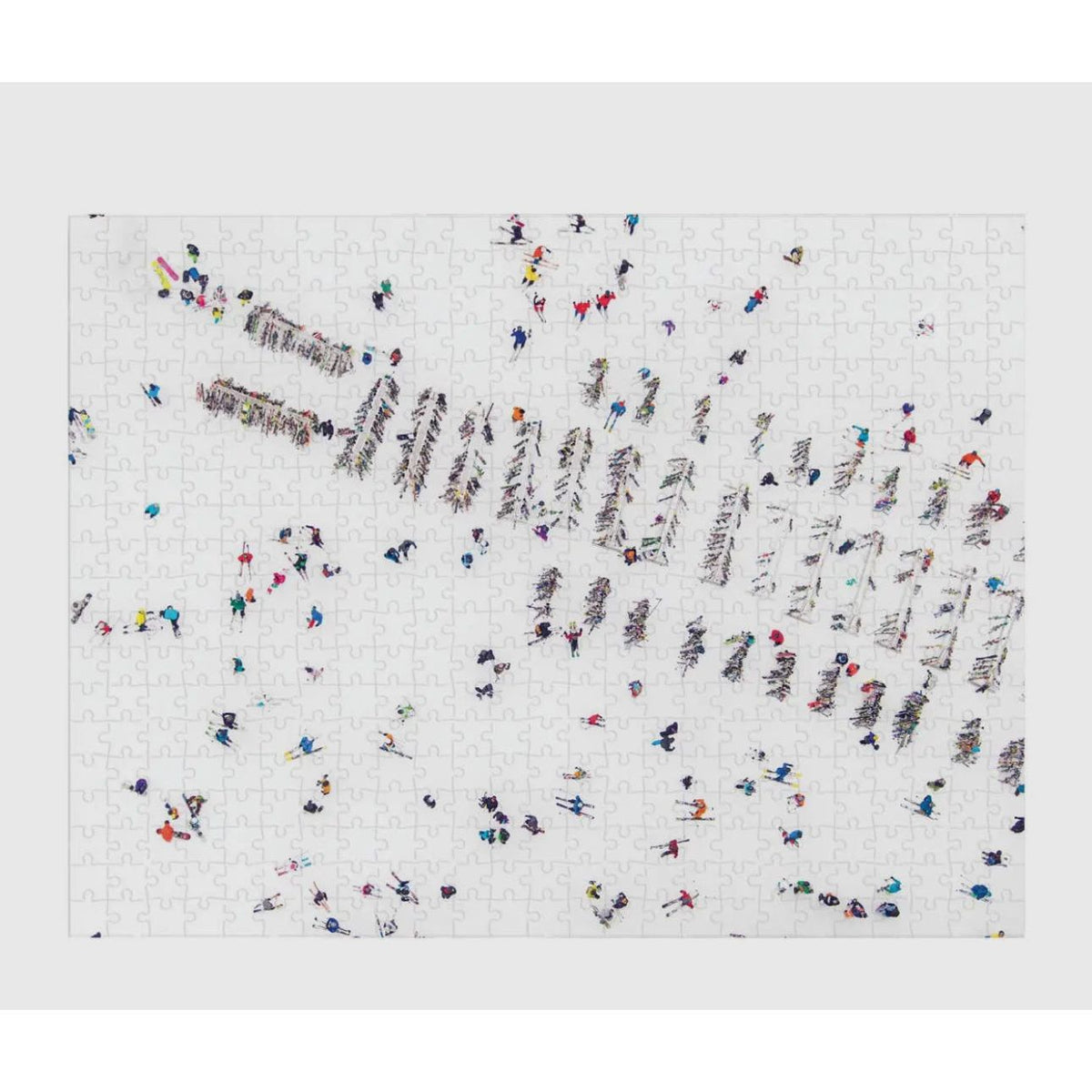 Gray Malin Snow Puzzle