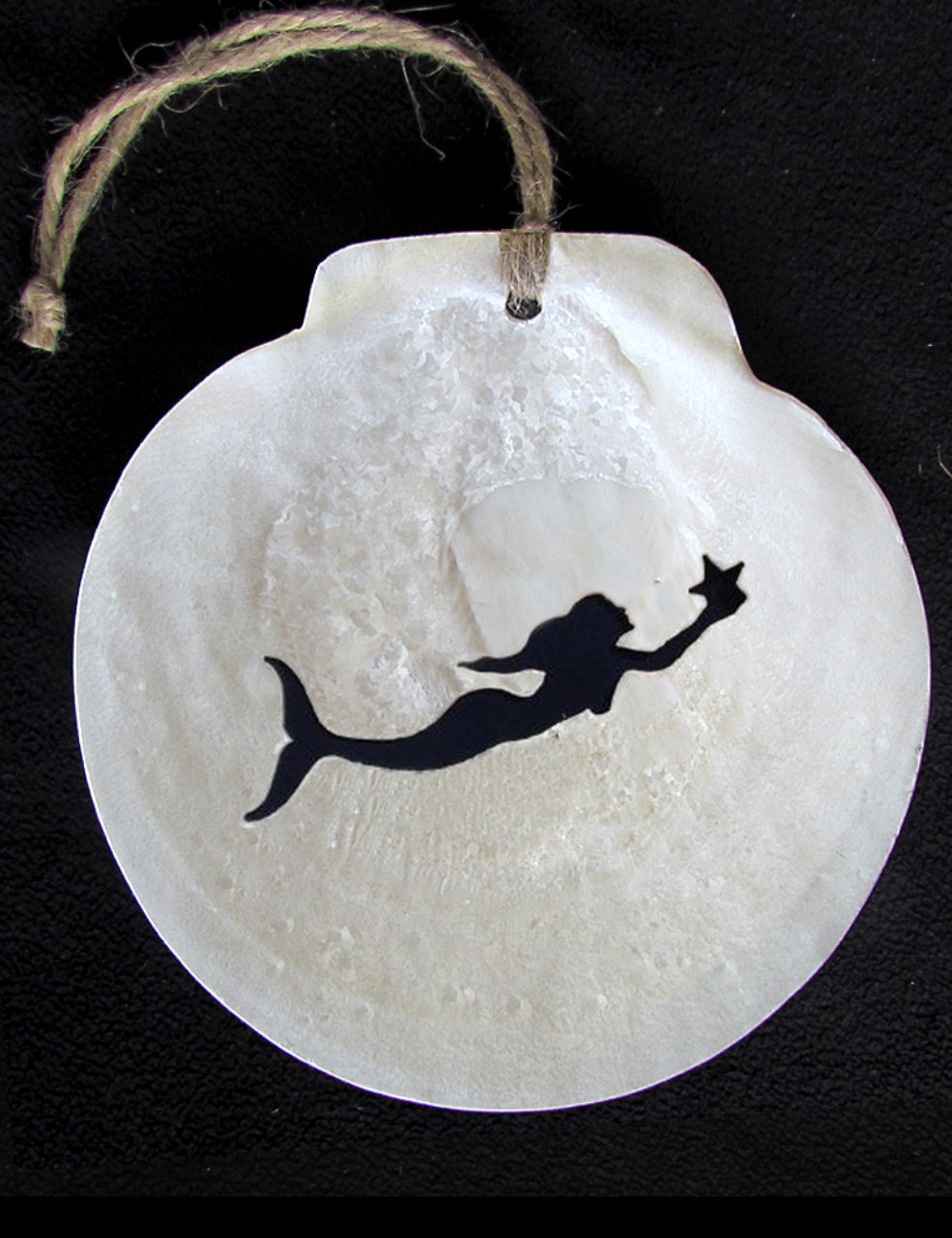 Local Scallop Shell Ornament