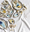 Coton colors Half dozen Oyster Plate