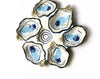 Coton colors Half dozen Oyster Plate
