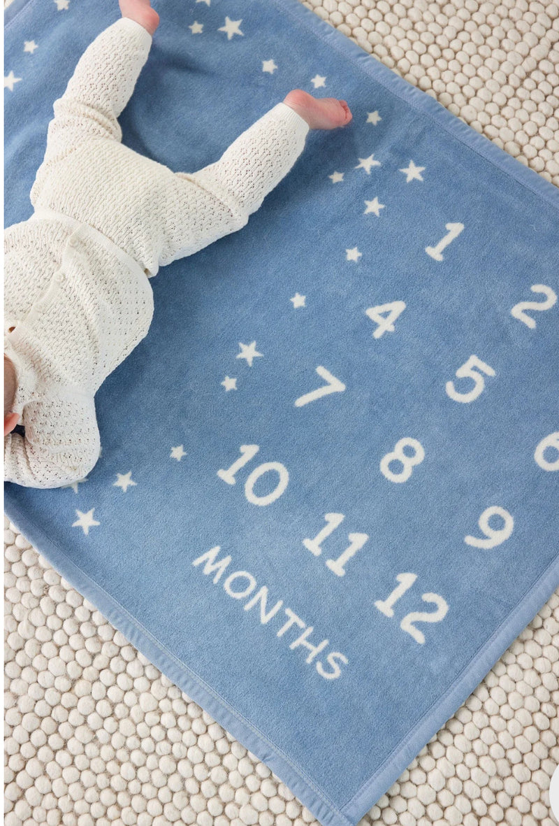 Chappy Wrap Milestone Mini Blush Blanket