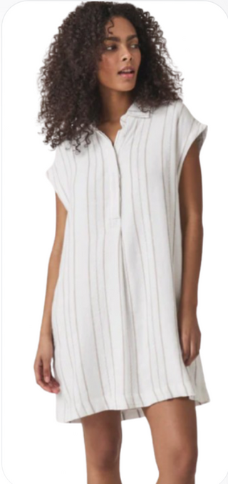 Splendid Wren Stripe Relaxed Mini Shirt Dress