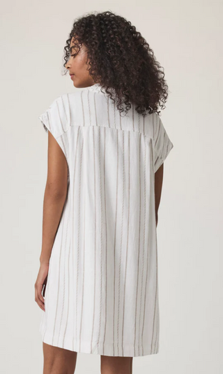 Splendid Wren Stripe Relaxed Mini Shirt Dress
