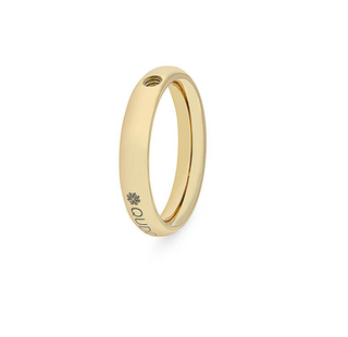 QUDO Interchangeable Base Rings - Gold (Portofino & Basic Small)