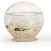 Seaside Globe