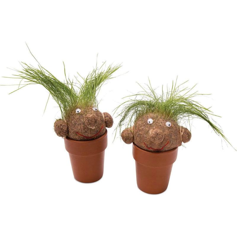 Pot Head Grass