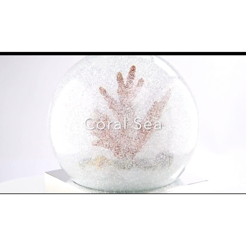 Coral Snow Globe