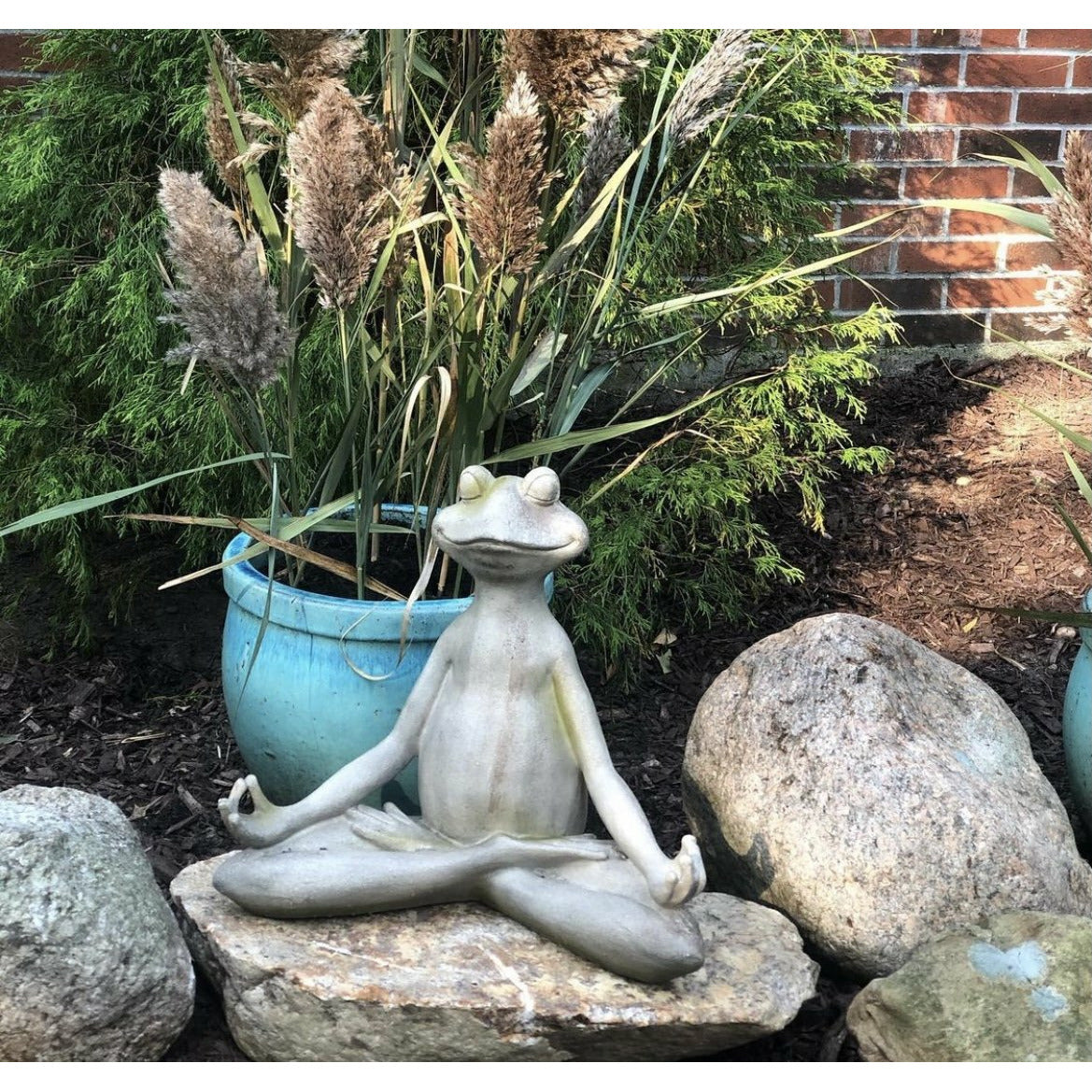 Outdoor Yoga Frog
